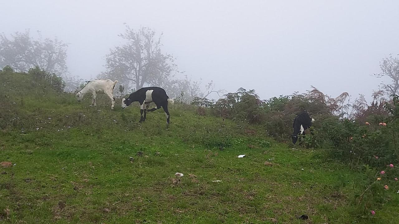 Salora Kodai Kodaikanal Zewnętrze zdjęcie