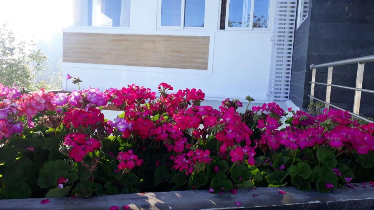 Salora Kodai Kodaikanal Zewnętrze zdjęcie