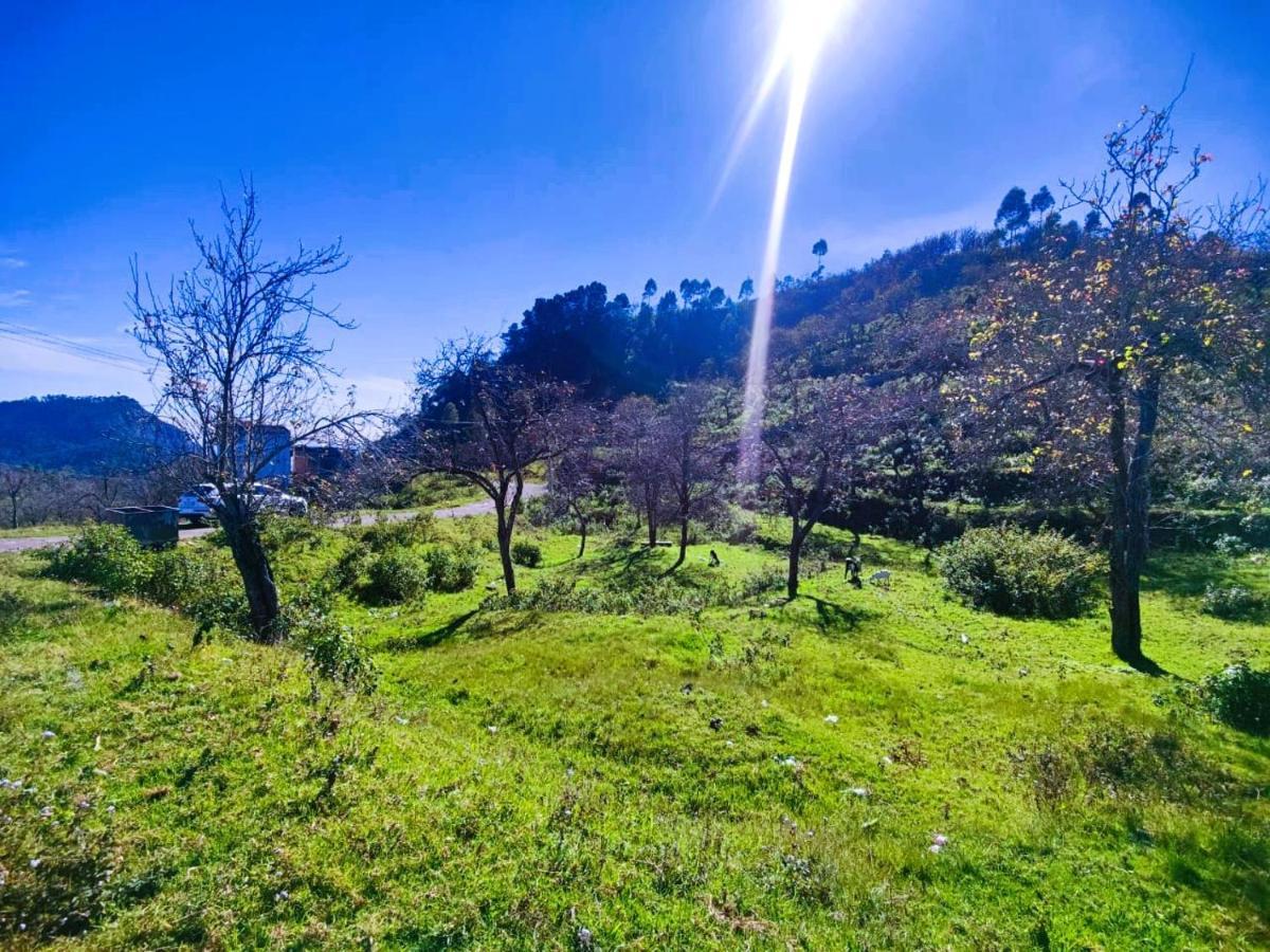 Salora Kodai Kodaikanal Zewnętrze zdjęcie