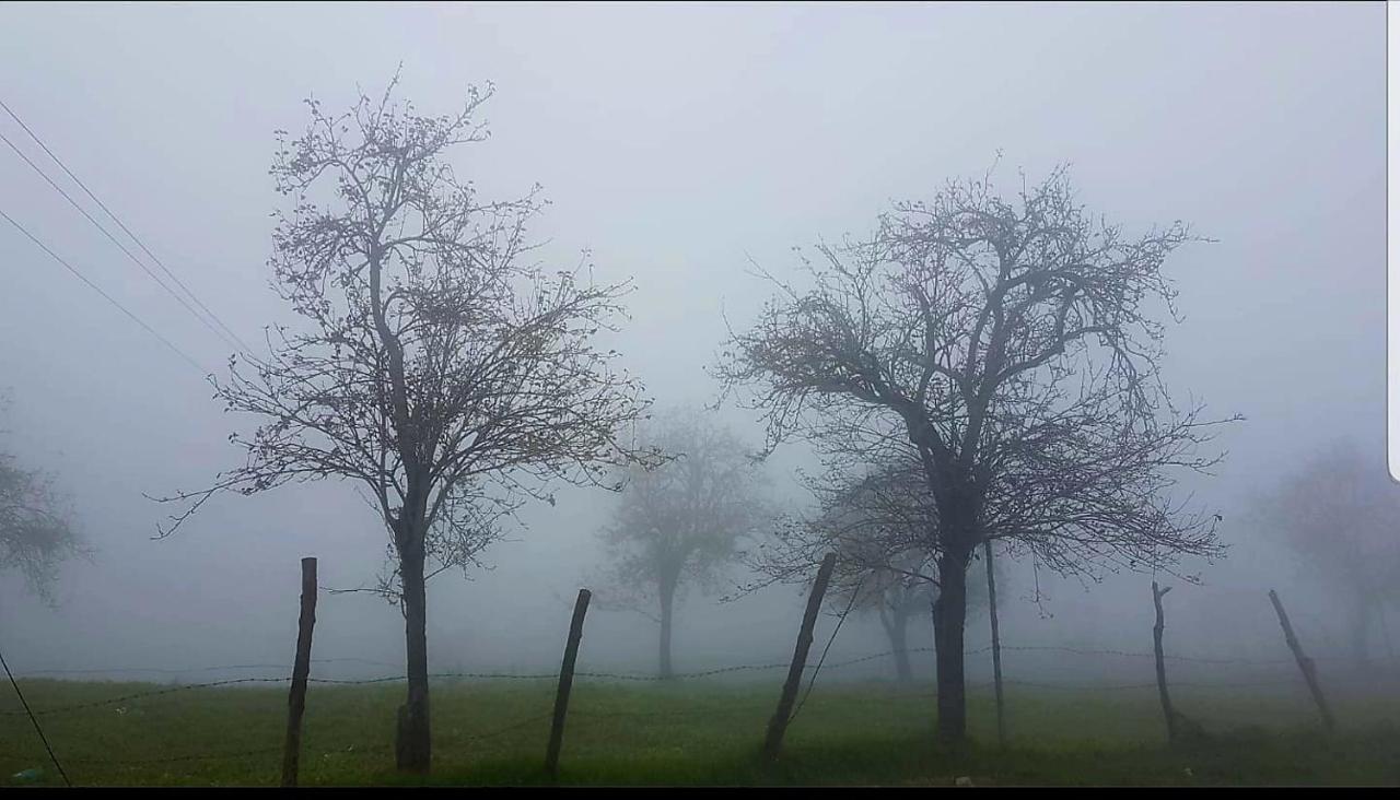 Salora Kodai Kodaikanal Zewnętrze zdjęcie